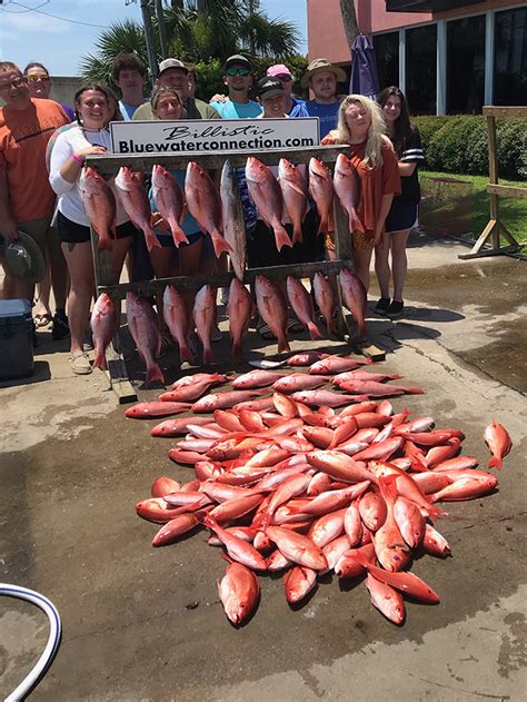 panama fishing charters.
